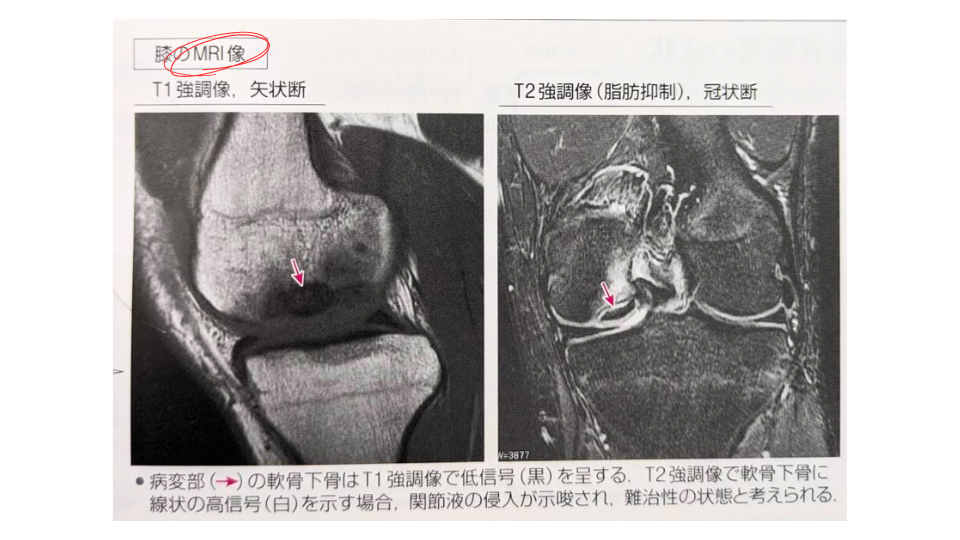 見通しはどうですか?