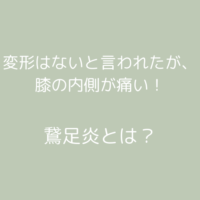 膝の内側が痛い！けど整形外科では変形はごくわずかと言われた。他の原因は？＜鵞足炎とは？＞