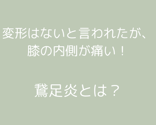 膝の内側が痛い！けど整形外科では変形はごくわずかと言われた。他の原因は？＜鵞足炎とは？＞