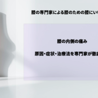 膝の内側の痛み：原因・症状・治療法を徹底解説