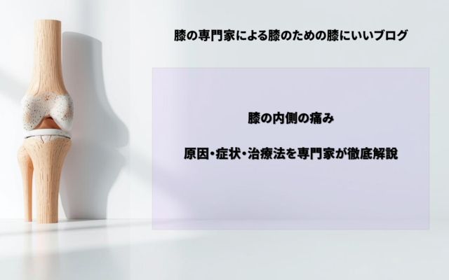 膝の内側の痛み：原因・症状・治療法を徹底解説