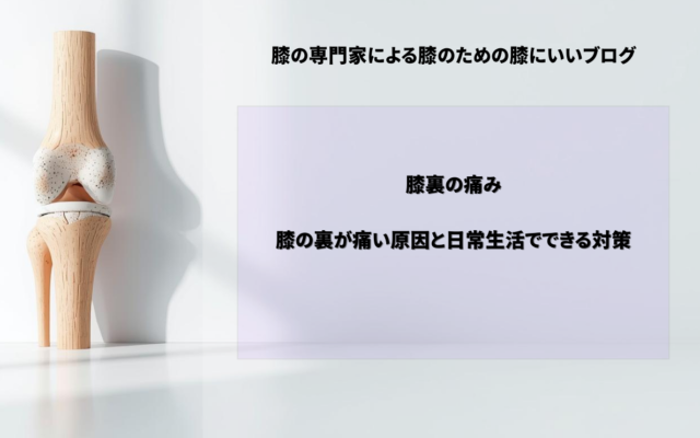 膝の裏が痛い原因と日常生活でできる対策