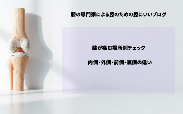 膝が痛む場所別チェック｜内側・外側・前側・裏側の違い