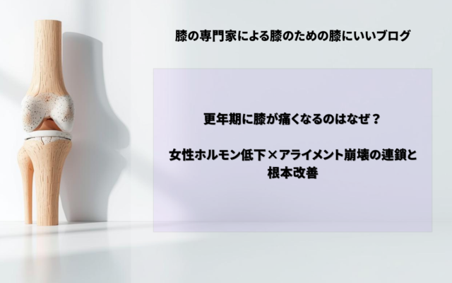 更年期に膝が痛くなるのはなぜ？｜女性ホルモン低下×アライメント崩壊の連鎖と根本改善