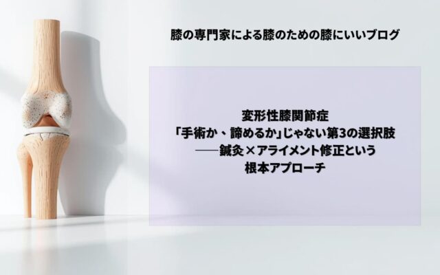 変形性膝関節症｜「手術か、諦めるか」じゃない第3の選択肢——鍼灸×アライメント修正という根本アプローチ